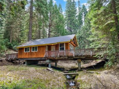 Black Pine, Fish Camp, California 93623, HOA KỲ