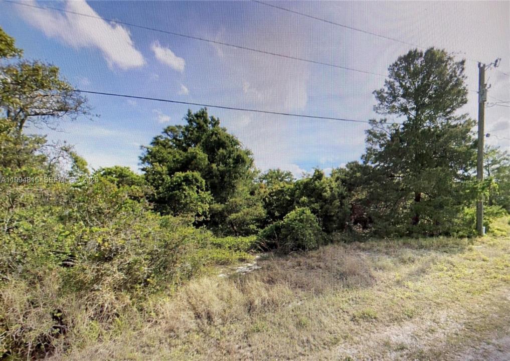 227 PERSHING AVE, Lake Placid, Florida 33852, Stati Uniti