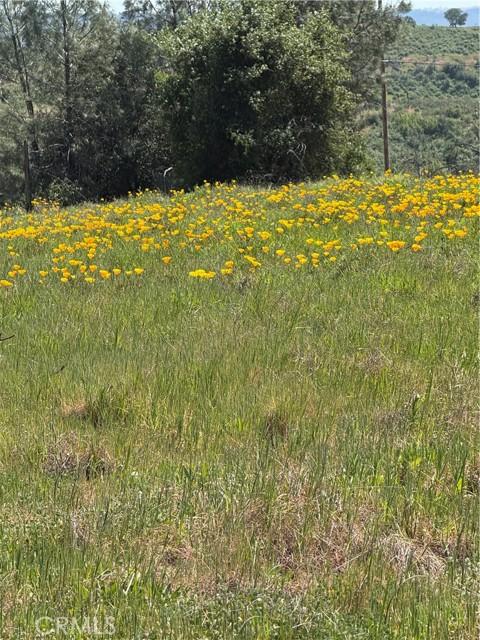 Round Valley Ranch, Paradise, קליפורניה 95969, ארצות הברית של אמריקה