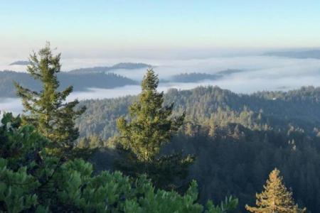 Skyview Ridge Road, Boulder Creek, Kalifornia 95006, USA