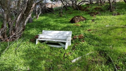 Park Drive, Lower Lake, Californie 95457, États-Unis