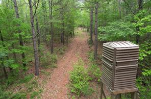 County Road 120C, San Augustine, Texas 75972, Stati Uniti