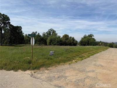 Acres Mountain Springs Road, North Fork, 加州 93643, 美國