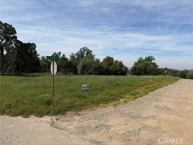 Acres Mountain Springs Road, North Fork, 加州 93643, 美國