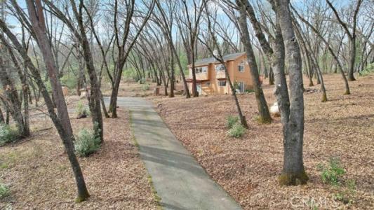 Collin House Drive, Oregon House, Californie 95962, États-Unis