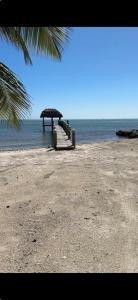 77481 Overseas Hwy, Islamorada, 佛羅里達州 33036, 美國