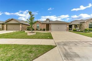 1119 Salt Creek Road, Springtown, Техас 76082, Соединенные Штаты