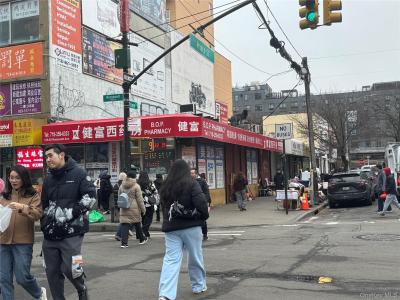 13502 Roosevelt Avenue, New York, New York 11354, Stati Uniti