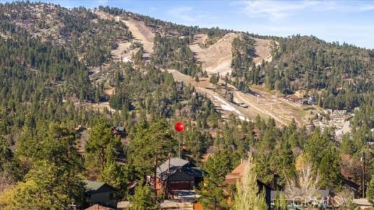 Wolf, Big Bear Lake, California 92315, HOA KỲ