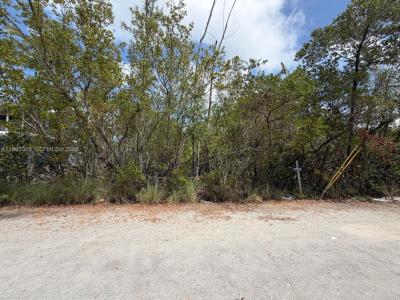 1510 Shaw Dr, Key Largo, פלורידה 33037, ארצות הברית של אמריקה 