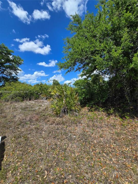 9303 Harvester St, Port Charlotte, Florida 33981, Stati Uniti