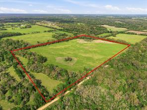 County Road 1151, Miller Grove, Texas 75433, Stati Uniti