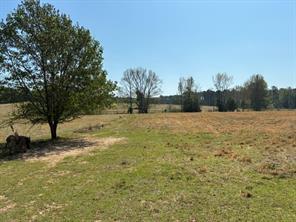 W-1 West Cliff Keen Road, Minden, Louisiane 71055, États-Unis