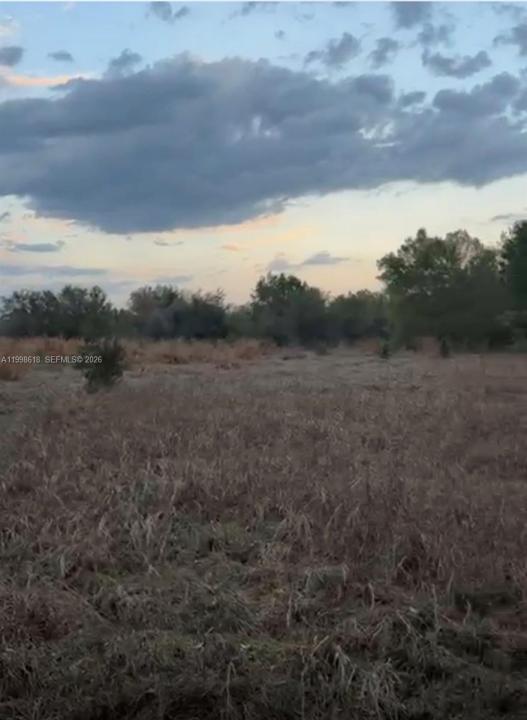 10800 S jefferson ave, Lake Placid, Florida 33852, Stati Uniti