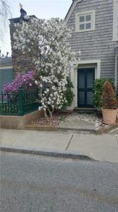 107 John Street, Newport, RI 02840, USA