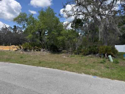 1625 Pickerel Court, Poinciana, 佛罗里达州 34759, 美国