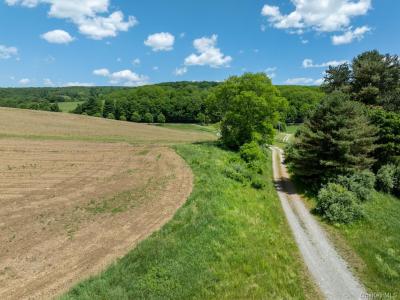 1533-1539 Route 83, Pine Plains, New York 12567, USA