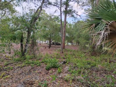 845 Appaloosa Avenue, Clewiston, 佛罗里达州 33440, 美国