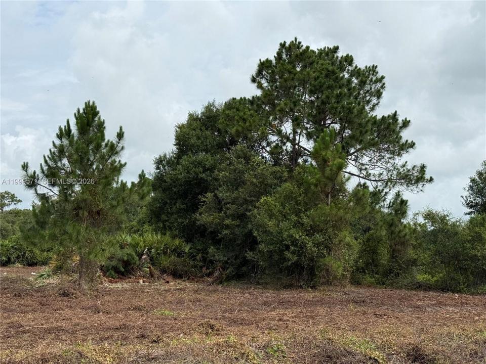 760 N NOGAL ST, Clewiston, Florida 33440, Stati Uniti
