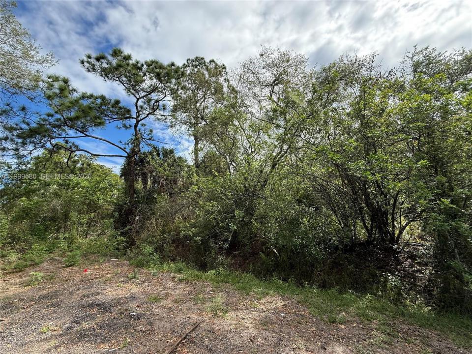 775 N ZAMBRIA ST, Clewiston, Florida 33440, Stati Uniti
