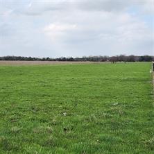 Hinton Street, Tioga, 德克薩斯州 76271, 美國