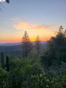 Mount Provo Road, Twain Harte, Kalifornien 95383, USA