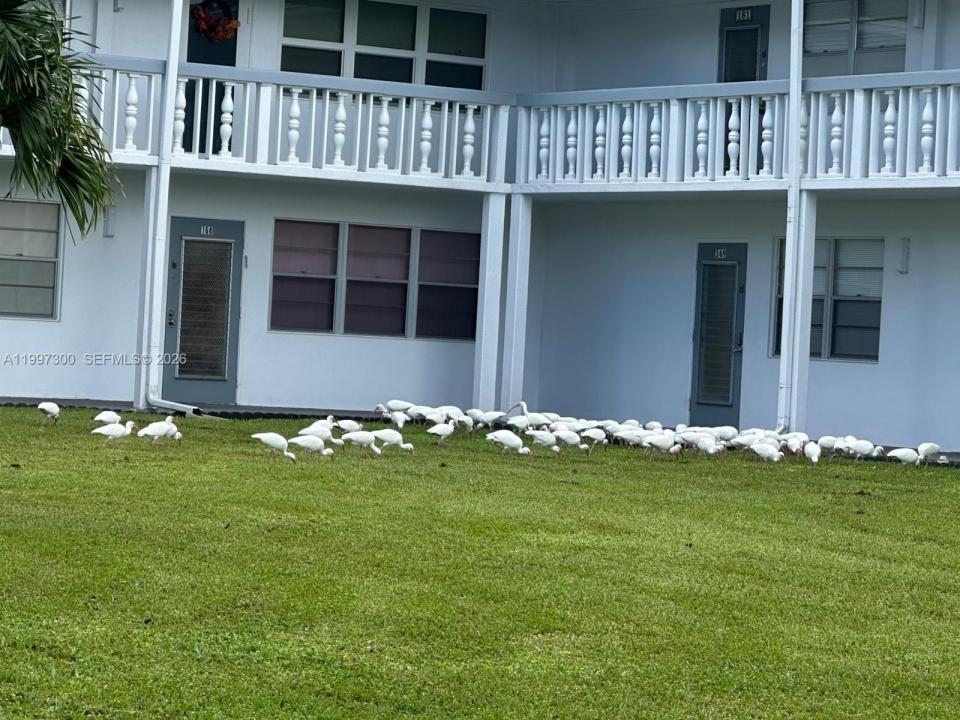 162 Westbury J 162, Deerfield Beach, Floride 33442, États-Unis