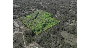 Hollow Bluff Drive, Haughton, Louisiane 71037, États-Unis