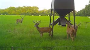 321 Private Road 6815, Eustace, Texas 75124, USA