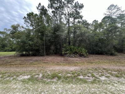124 Glenside Street, Georgetown, Florida 32139, Stati Uniti