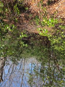 Nadia Court, Hopkinton, RI 02832, USA