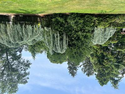 8 Plaka Court, Oyster Bay, 纽约州 11545, 美国