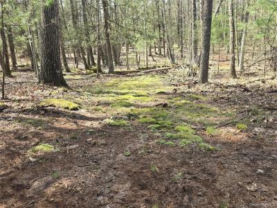 Lot 5 Evergreen Drive, Saugerties, New York 12477, États-Unis