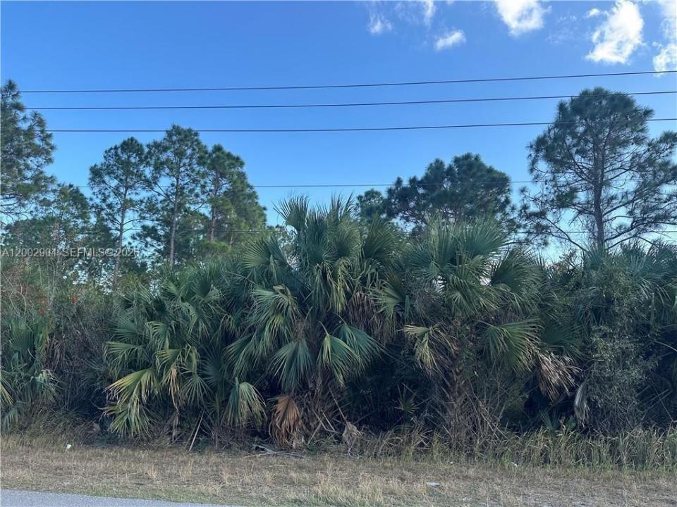 665 Woodcrest, Lehigh Acres, Florida 33972, Stati Uniti