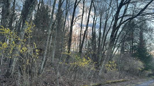 TBD Diane Boulevard, Fallsburg, New York 12789, États-Unis