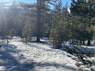 Blitzen Road, South Lake Tahoe, California 96150, Estados Unidos