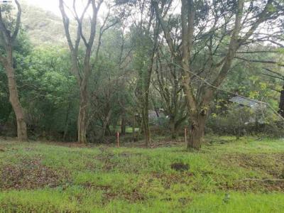 Vista Del Orinda, Orinda, Californie 94563, États-Unis