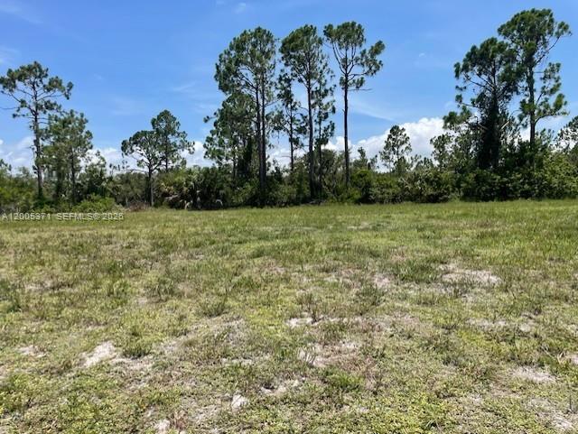 1616 NW 25 LN, Cape Coral, Florida 33993, Stati Uniti