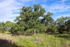 Oak Ridge Tr, Kingsland, Texas 78639, USA
