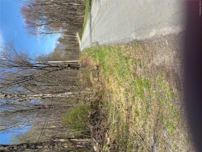 209 Stream Hollow, Fallsburg, ניו יורק 12428, ארצות הברית של אמריקה 