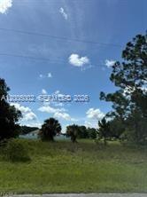 1345 Jabara Cir, La Belle, Florida 33935, USA