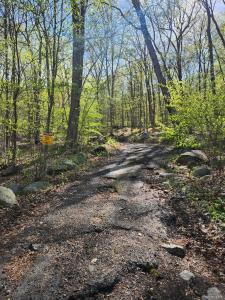 19 Brandt Road, Ramapo, New York 10931, États-Unis