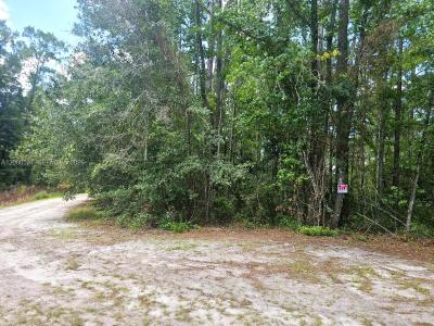 No situs SE 2nd ST, Palatka, Floride 32177, États-Unis