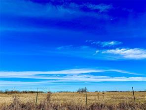 10 ac. Tract 7 CR 131, Mount Calm, Texas 76673, USA