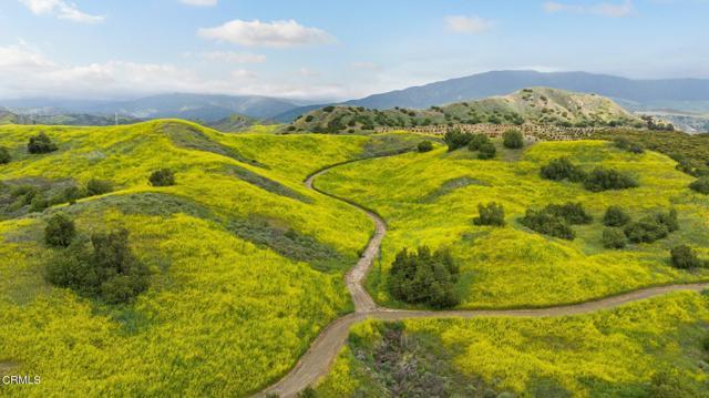 Dickenson Road, Santa Paula, Californie 93060, États-Unis