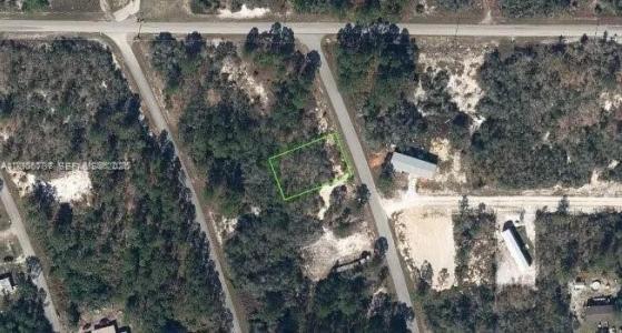 126 Blue Horizon, Lake Placid, Florida 33852, USA