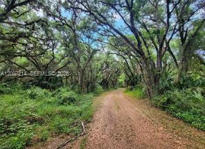 1040 Kirby Thompson Rd, Other City - In The State Of Florida, Florida 33935, USA