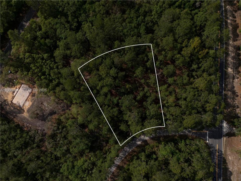 0 Fisher Trace Dr, Florida 32179, USA