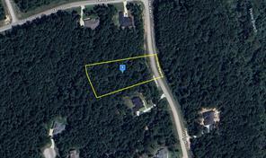 265 Sky Oak Lane, Huntsville, Texas 77340, États-Unis