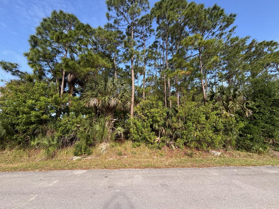 556 NE Burlington Ave NE Avenue, Palm Bay, Florida 32907, Stati Uniti